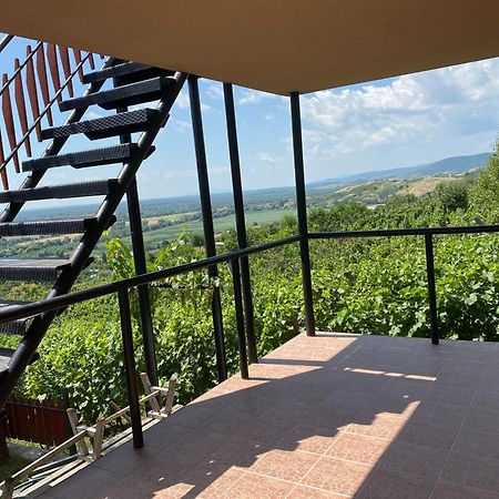 Fehér Szőlő Vendégház Satoraljaujhely Exterior foto