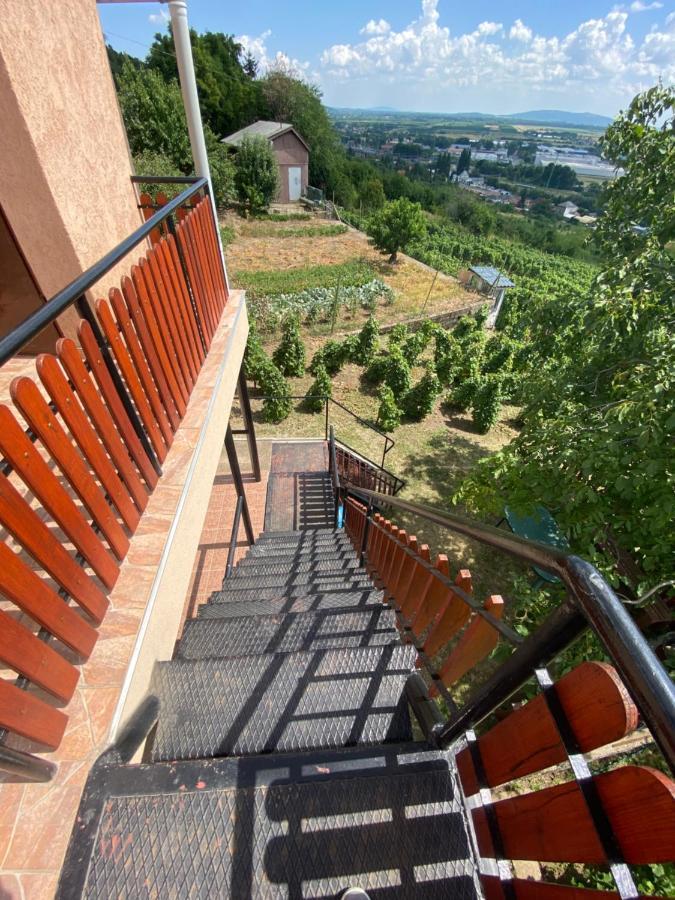 Fehér Szőlő Vendégház Satoraljaujhely Exterior foto