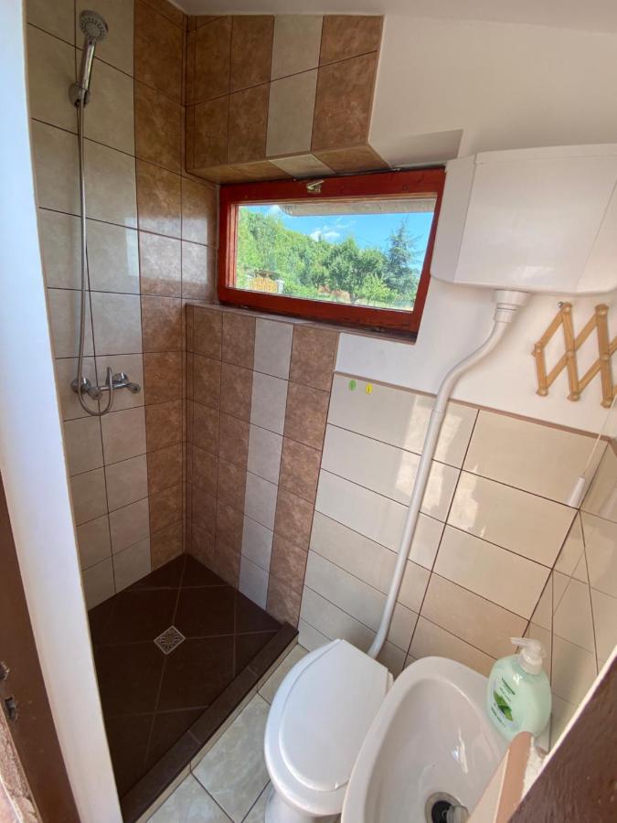 Fehér Szőlő Vendégház Satoraljaujhely Exterior foto