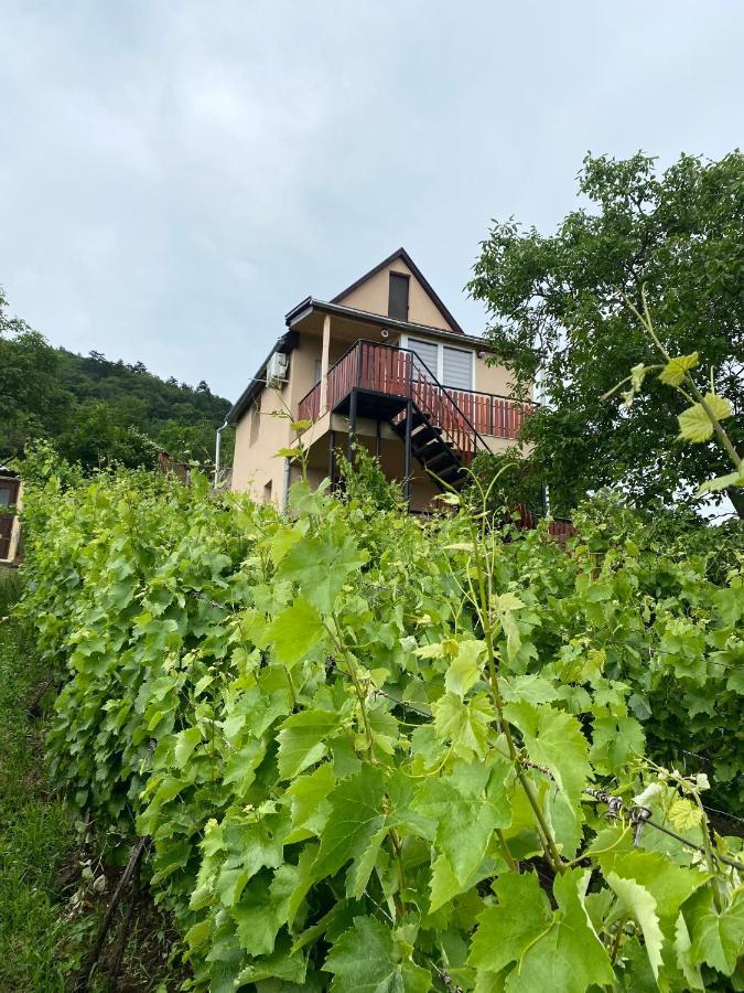 Fehér Szőlő Vendégház Satoraljaujhely Exterior foto